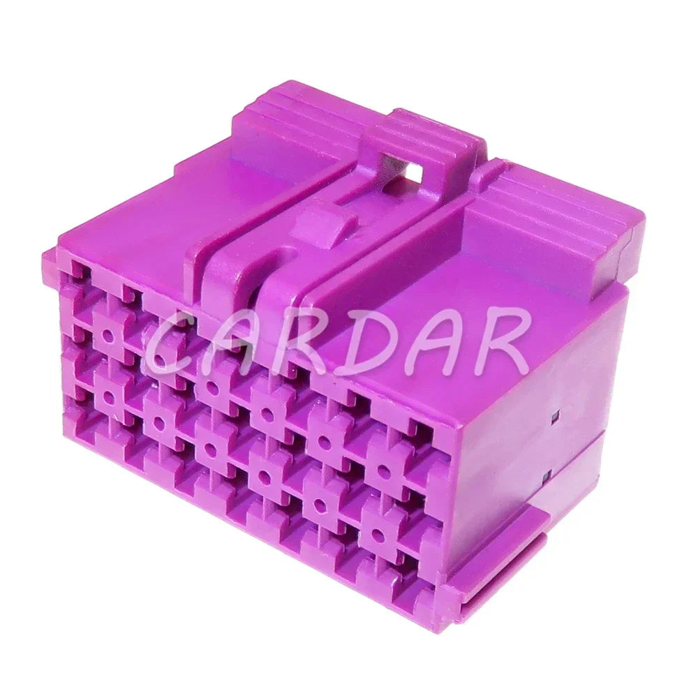 21 Pines 1-967625-3 967635-1 Conector Automotriz Enchufe de Cable Eléctrico con Terminales