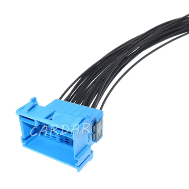 21 Pin 967635-1 3-967630-1 6-968975-1 5mm Automobile Connector Car Electrical Wire Socket With Terminals