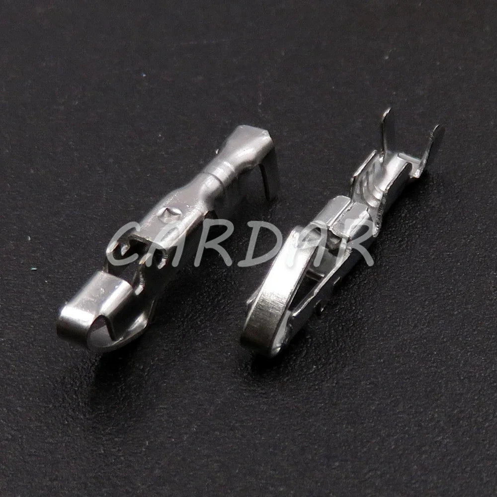 10 Pin 2 Series Automotive Electrical Connector Car Plastic Housing Wiring Terminal Socket With Terminals