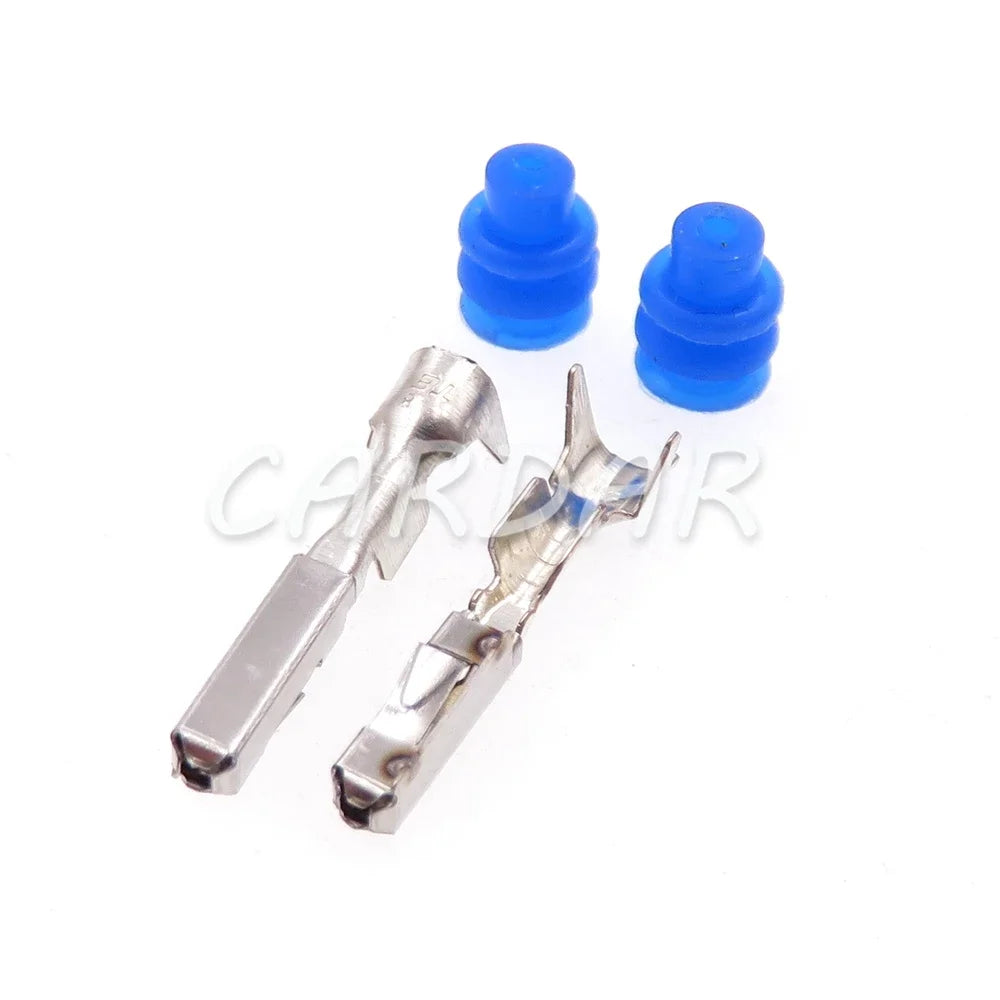 2 Pin Car 1718555-1 1-968790-2 Waterproof Electrical Socket Automobile Power Connector with Terminal