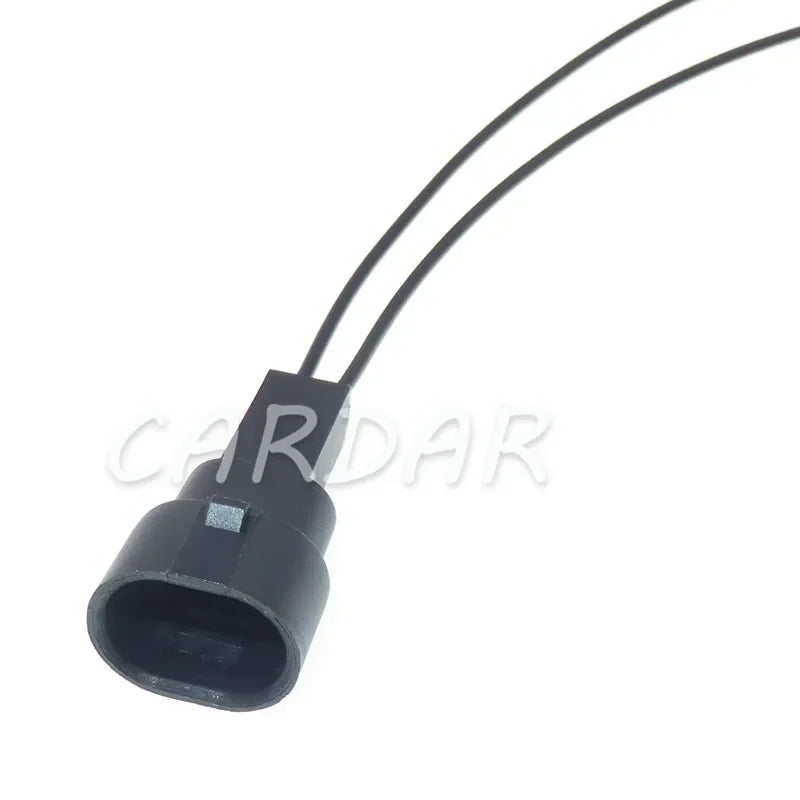 15449028 LS ECT 2 Pin Automotive Connector 15449028-1 Auto Socket For BUICK