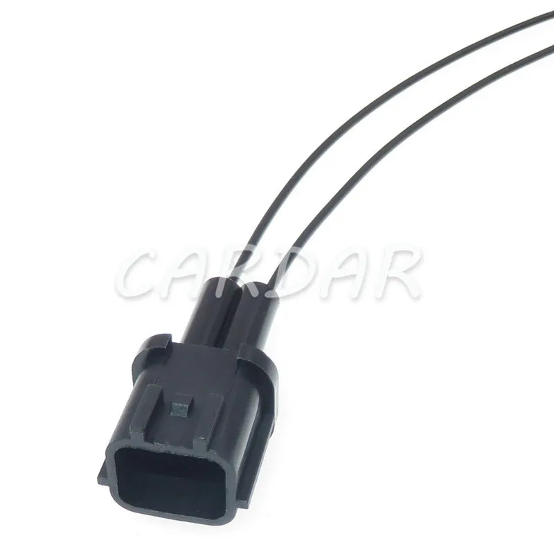 2 Pin 6098-0137 Auto Electrical Plug Automotive Connector For Hyundai Nissan