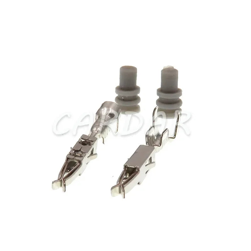 2 Pin 13816706 waterproof Fuel Injector Connector Automotive Connector Socket For Buick Chevrolet The Great Wall
