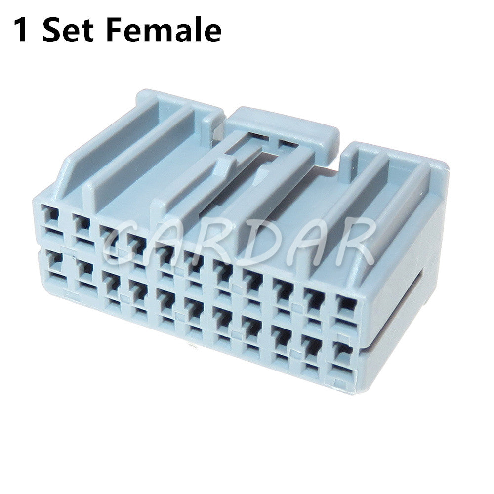 22 Pin 917989-6 Automotive Wiring Harness Connector Socket With Terminals